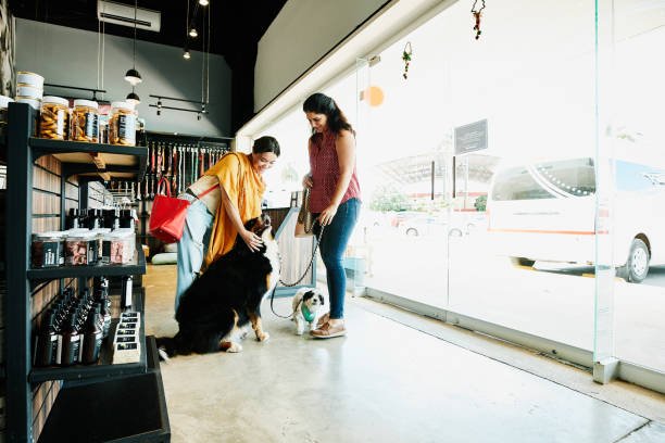 Vet Near Me in Dubai? What Pet Owners Should Really Look For